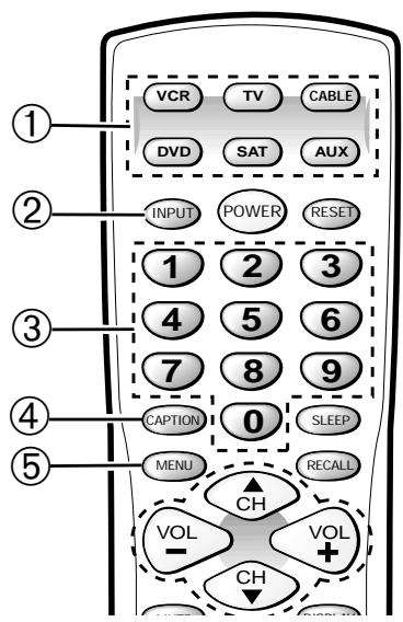 SANYO DS27930 - TECLAS DEL CONTROL REMOTO - 2