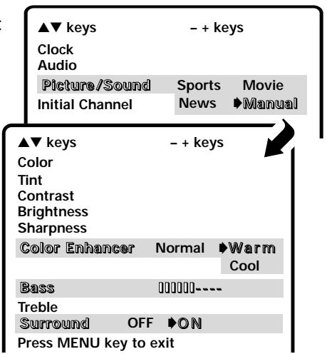 SANYO DS27930 - Adjust the picture/sound manually - 1