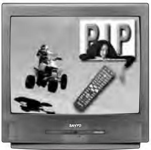 SANYO DS31820 - 1
