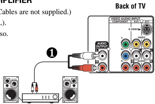 SANYO DS31820 - CONNECTING AUDIO OUT JACKS TO A STEREO AMPLIFIER - 1