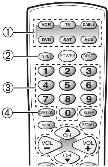SANYO DS31820 - REMOTE CONTROL KEYS - 1
