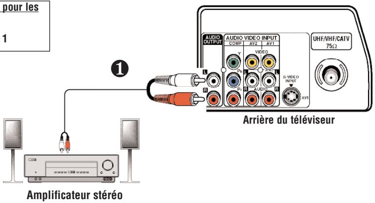 SANYO DS32224 - BRANCHEMENT D'UN AMPLIFICATEUR STÉRÉO DANS LES PRISES DE SORTIE AUDIO - 1