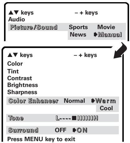 SANYO DS32224 - Adjust the picture/sound manually - 1