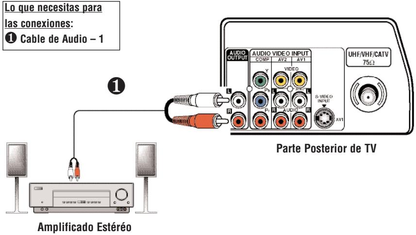 SANYO DS32224 - CONECTE UN AMPLIFICADOR ESTÉREO A LAS SALIDAS DE AV - 1