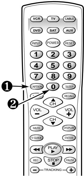 SANYO DS32920 - SETTING CAPTIONS - 3