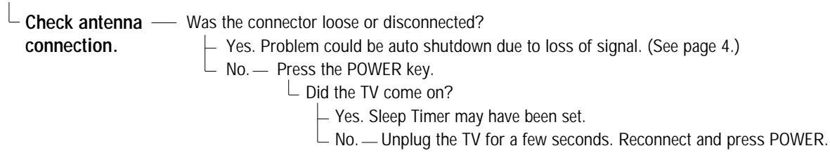 SANYO DS32920 - TV Turns off by itself - 1