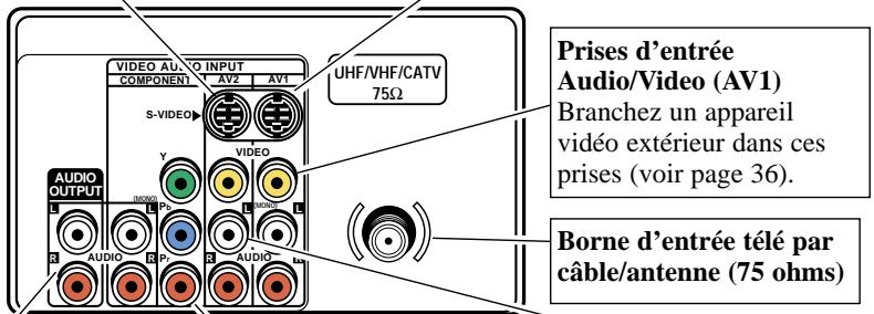 SANYO DS32920 - Borne d'entrée vidéo S (AV1) (Super Video) - 1