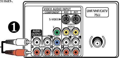 SANYO DS32920 - CONECTE UN AMPLIFICADOR ESTÉREO A LAS SALIDAS DE A/V - 1