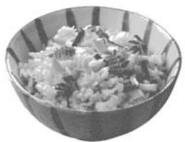 SANYO ECJ-N100F - BROWN RICE - 1