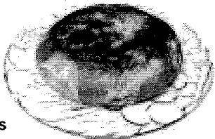 SANYO ECJ-S35K - PUDDING - 1