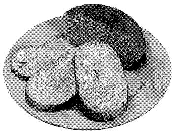 SANYO ECJ-S35S - BREAD - 1