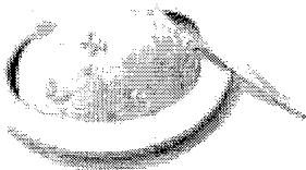 SANYO ECJ-S35S - PILAF - 1