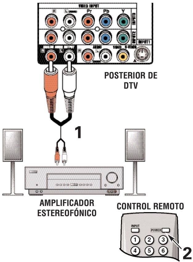 SANYO HT30746 - CONECTANDO LA SALIDA ANALÓGICA DE AUDIO A UN AMPLIFICADOR ESTEREOFÓNICO - 1