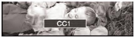 SANYO HT30746 - PARA VER TEXTOS CAPTION - 1