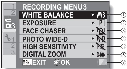 SANYO VPC-HD2000EX - NORMAL Mode Recording Menu - 2