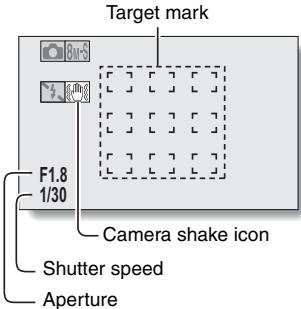 SANYO VPC-HD2000GX - What is the camera focusing on? - 1