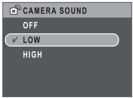 SANYO VPC-S670 - Camera Sound - 1