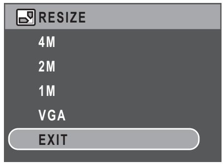 SANYO VPC-S670R - Resize - 1