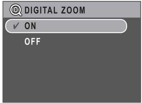 SANYO VPC-S670R - Digital Zoom - 1