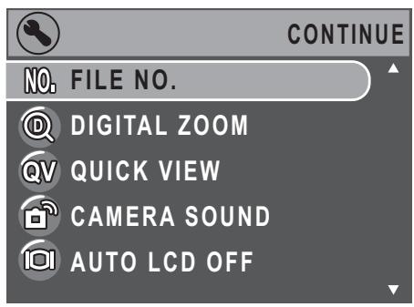 SANYO VPC-S670R - The Setup Menu - 1