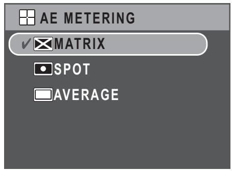 SANYO VPC-S670R - AE Metering - 1