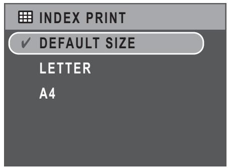 SANYO VPC-S750 - Index Print - 2