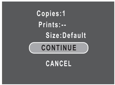 SANYO VPC-S750 - Index Print - 3