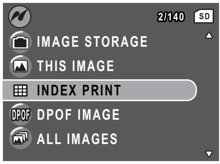 SANYO VPC-S750 - Index Print - 1