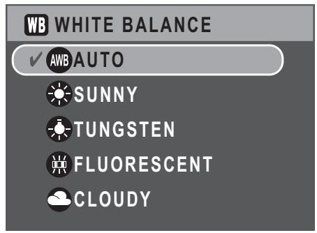 SANYO VPC-S750 - White Balance - 1