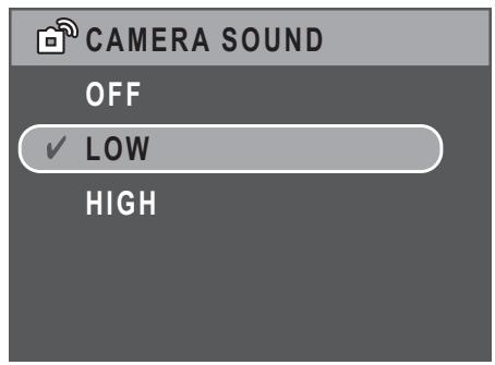 SANYO VPC-S750 - Camera Sound - 1