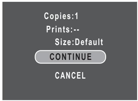 SANYO VPC-S770PU - Index Print - 3