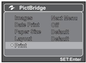 SANYO VPC-S880P - Printing images - 3