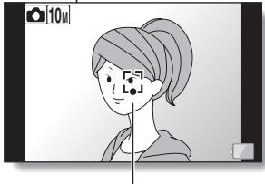 SANYO VPC-SH1GX - SHOOTING SINGLE SHOTS - 5