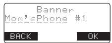 SANYO CLT-D5880 - Setting the True Banner - 2