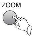 SANYO DVD-DX501 - ZOOM PLAY - 1
