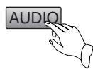 SANYO DVD-DX501 - SELECT AUDIO LANGUAGE - 1