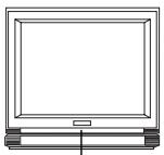SANYO DVD-DX501 - PLAY DISCS - 1