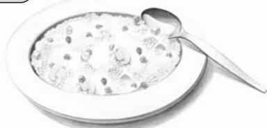 SANYO ECJ-D100S - PORRIDGE - 1