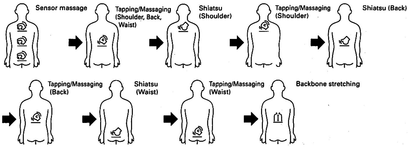 SANYO HEC-DR3000 - Standard massage in FINE course - 1