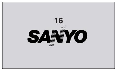 SANYO PLC-XF60 - CAUTION ON HANDLING PIN CODE - 1