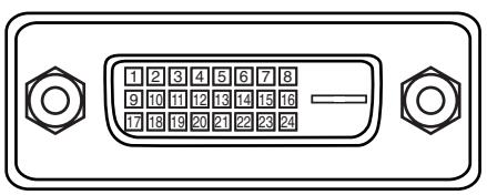SANYO PLC-XT20/L - DVI-D TERMINAL (DIGITAL) - 1