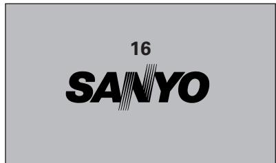 SANYO PLC-XT20/L - CAUTION ON HANDLING PIN CODE - 1