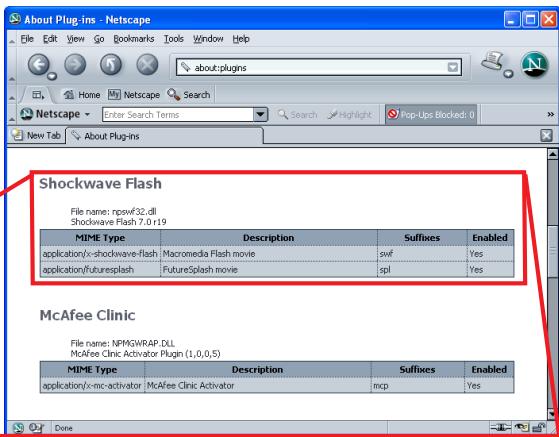 SANYO PLC-XT35 - Flash Player Plug-in setting - 1