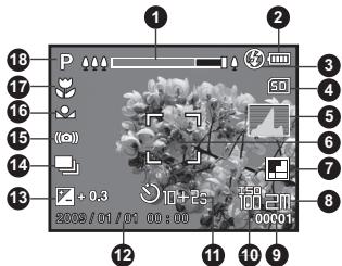 SANYO VPC-S1085 - Capture mode - 1