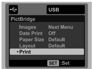 SANYO VPC-S1085 - Printing images - 5