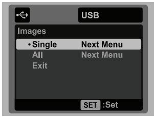 SANYO VPC-S1085 - Printing images - 2