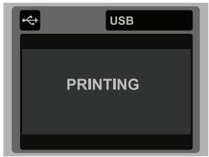 SANYO VPC-S1085 - Printing images - 6