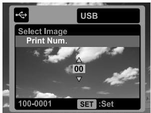 SANYO VPC-S1085 - Printing images - 3