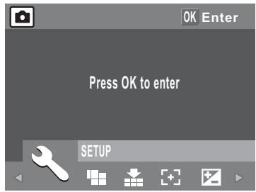 SANYO VPC-S1275 - The Setup Menu - 1