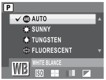 SANYO VPC-S1275 - White Balance - 1